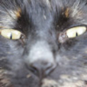 Meet your Posher, Dc